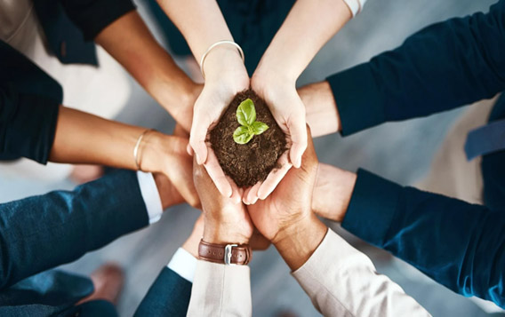 Công ty TNHH Công nghệ Vật liệu Mới Thường Châu Baonong